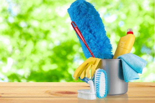 Professional end of tenancy cleaning for a Marylebone apartment interior