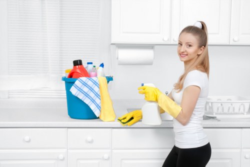 Bathroom deep cleaning in a Marylebone move in cleaning service