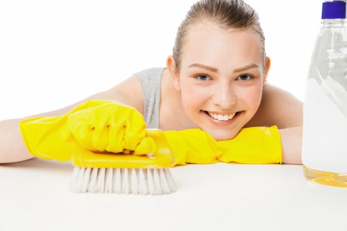 Domestic cleaning service covering Marylebone and nearby central London areas