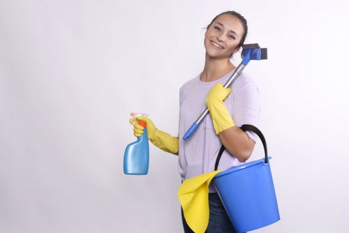 Professional carpet cleaning service terms and conditions introduction