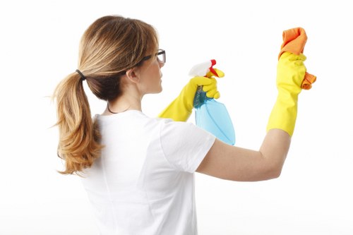 Professional window cleaning for a Marylebone apartment block