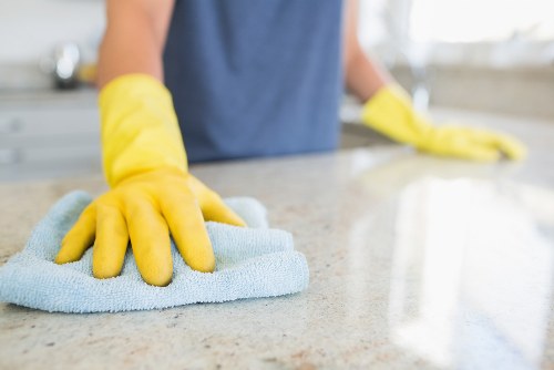 Professional carpet deep cleaning in a Marylebone flat